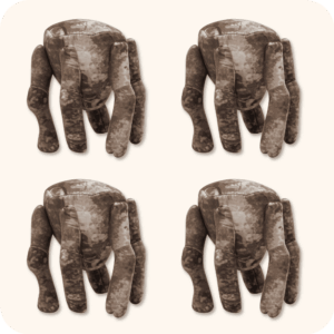 Project Hail Mary Plush 4PCS